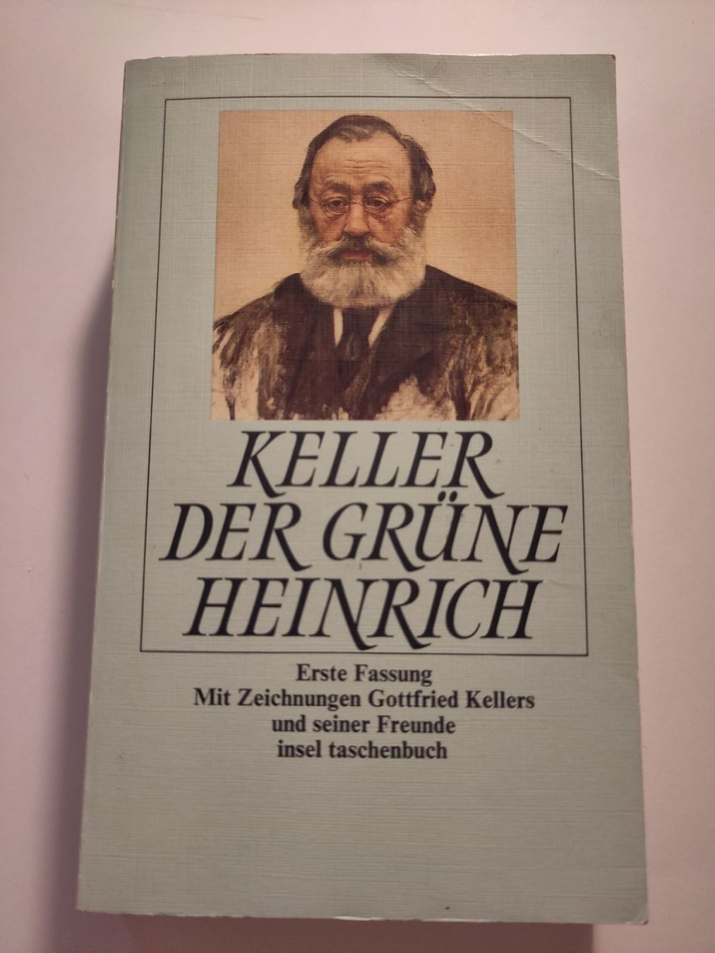 Libri: Der grüne Heinrich - Gottfried Keller – Usato da Bülach venduto da Tiefschlaflos
