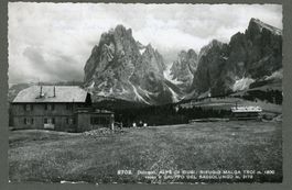 AK sw Alpe di Siusi Italia Sassolungo 3-Zinnen S-Tirol ≈1956