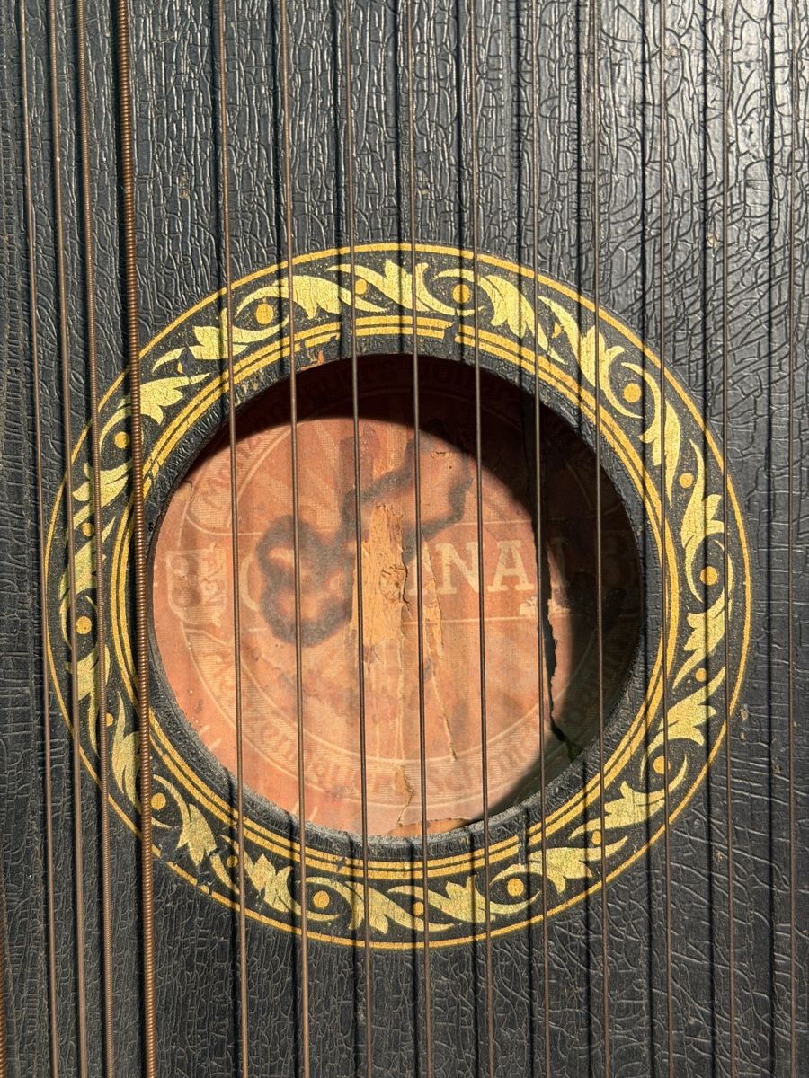 Strumenti musicali: Antique Concert Zither – Usato da Lausanne venduto da artnouveau04 1