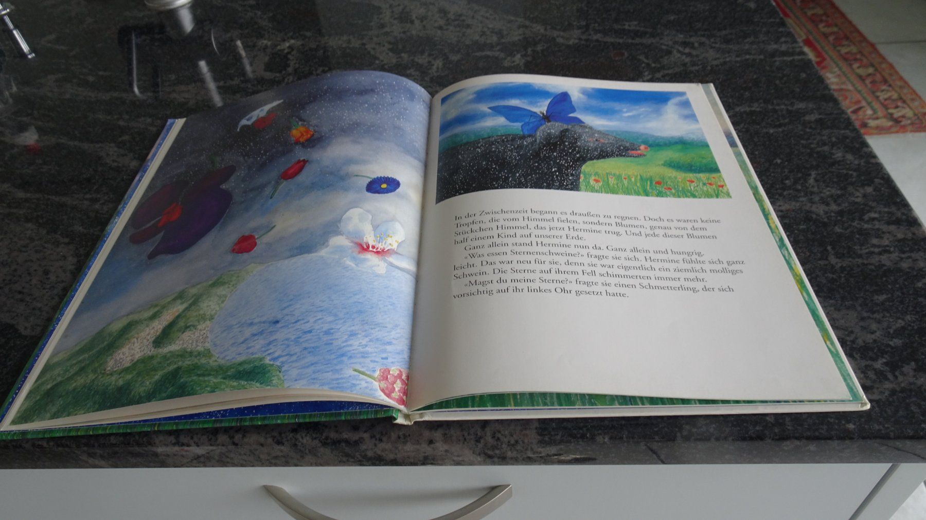 Bücher: HERMINE das Schwein   Bilderbuch – Gebraucht aus Zürich von Roulet 6