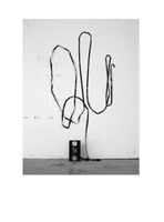 MATIAS FALDBAKKEN , Edition, Auflage: 100 + 20 A. P.