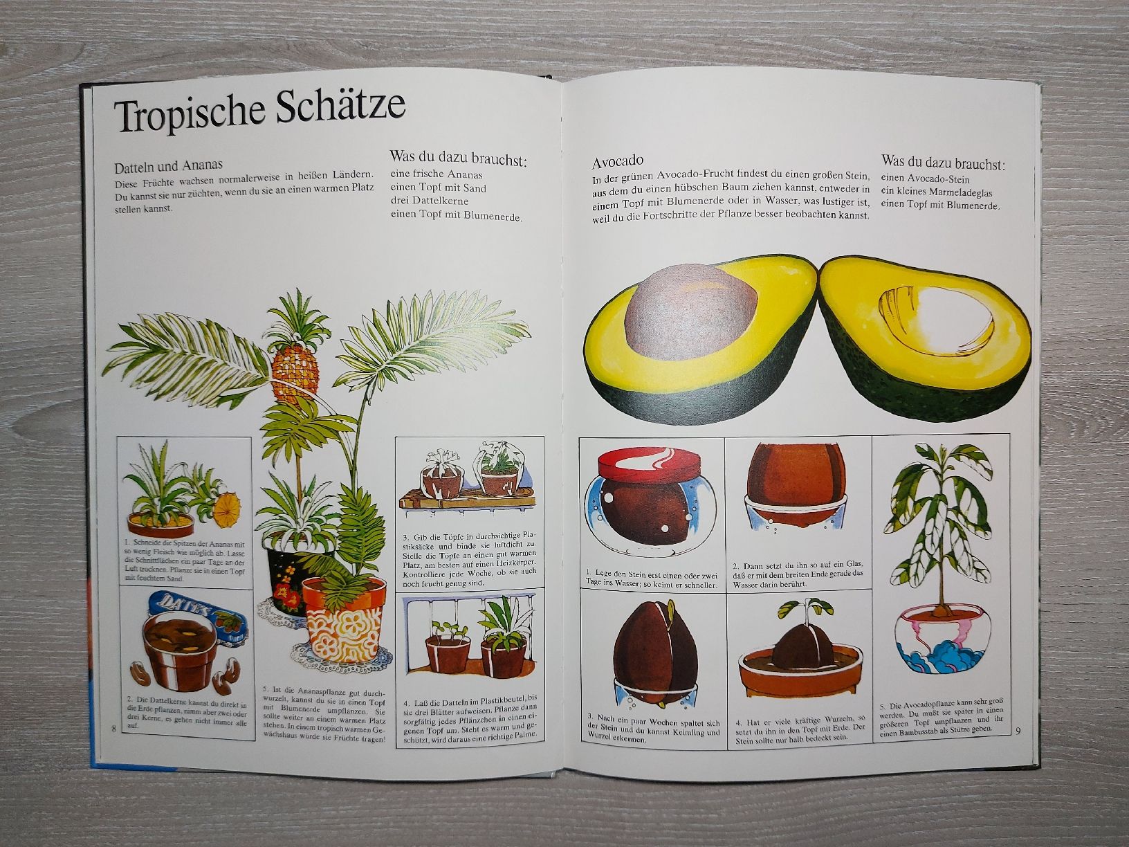 Livres: Gartenbuch für Kinder  – D'occasion à Bern par Bernaro 5