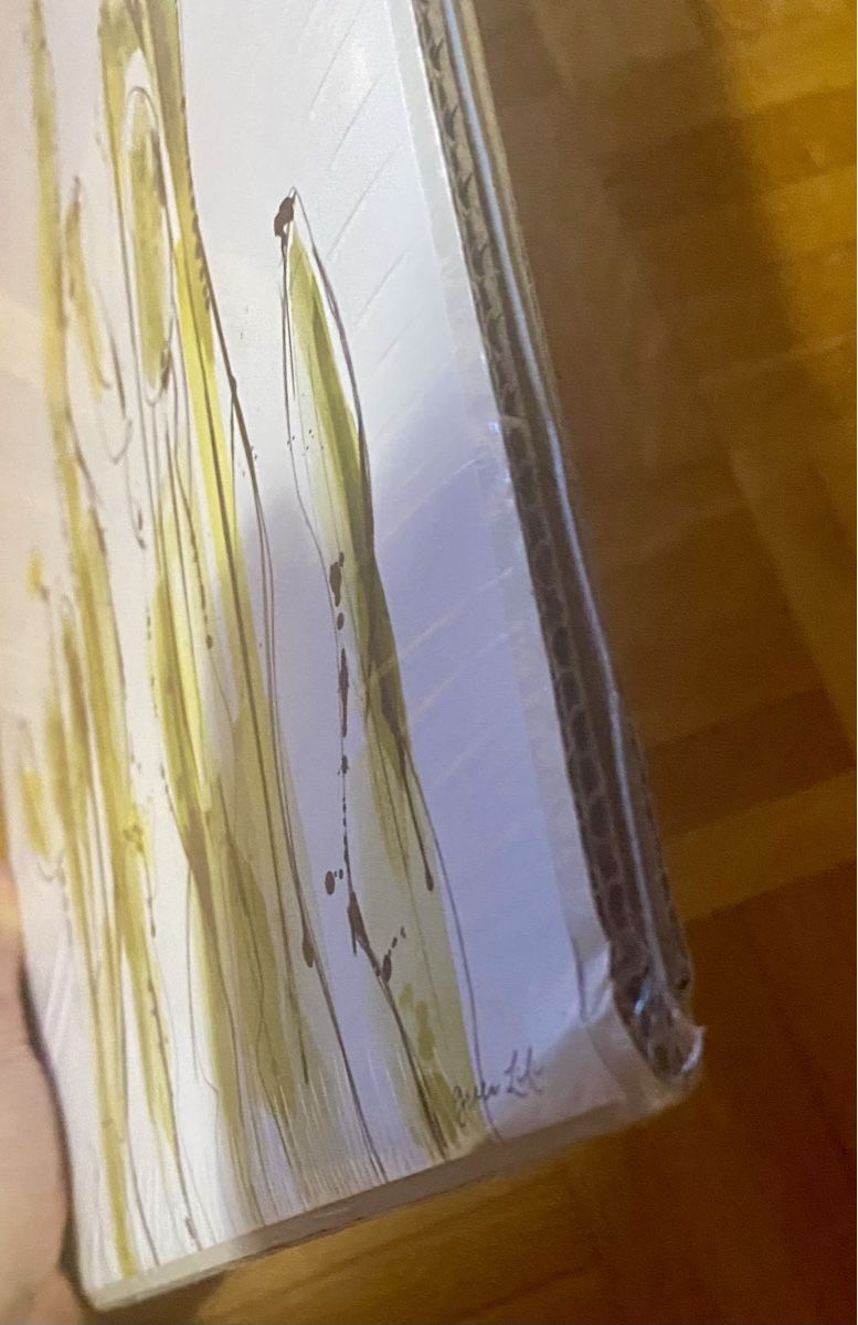 Dipinti: Cactus Bild/Print – Nuovo e nell'imballaggio originale da Lugano venduto da mariavenezia 2