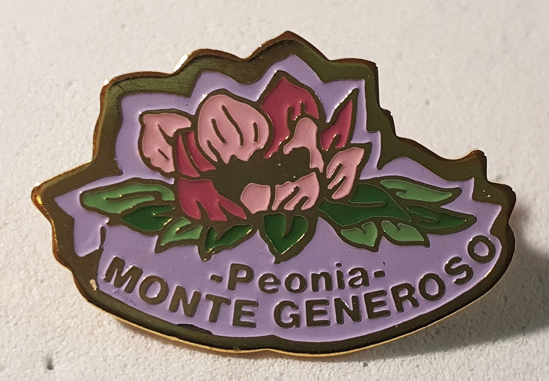Placchette & Badge: C279C - Pin Peonia Monte Generoso – Usato da Reinach BL venduto da Boston-Verkauf