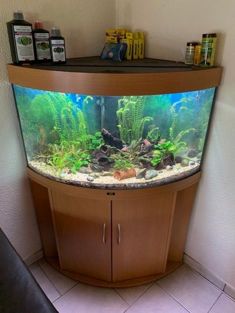 Juwel Acquari: Eck Aquarium Trigon 190 – Usato da Grenchen venduto da stefport