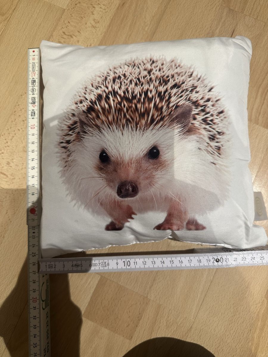 Cuscini: Süsses Igel Kissen – Usato da Uetendorf venduto da Gar_9pvy 2