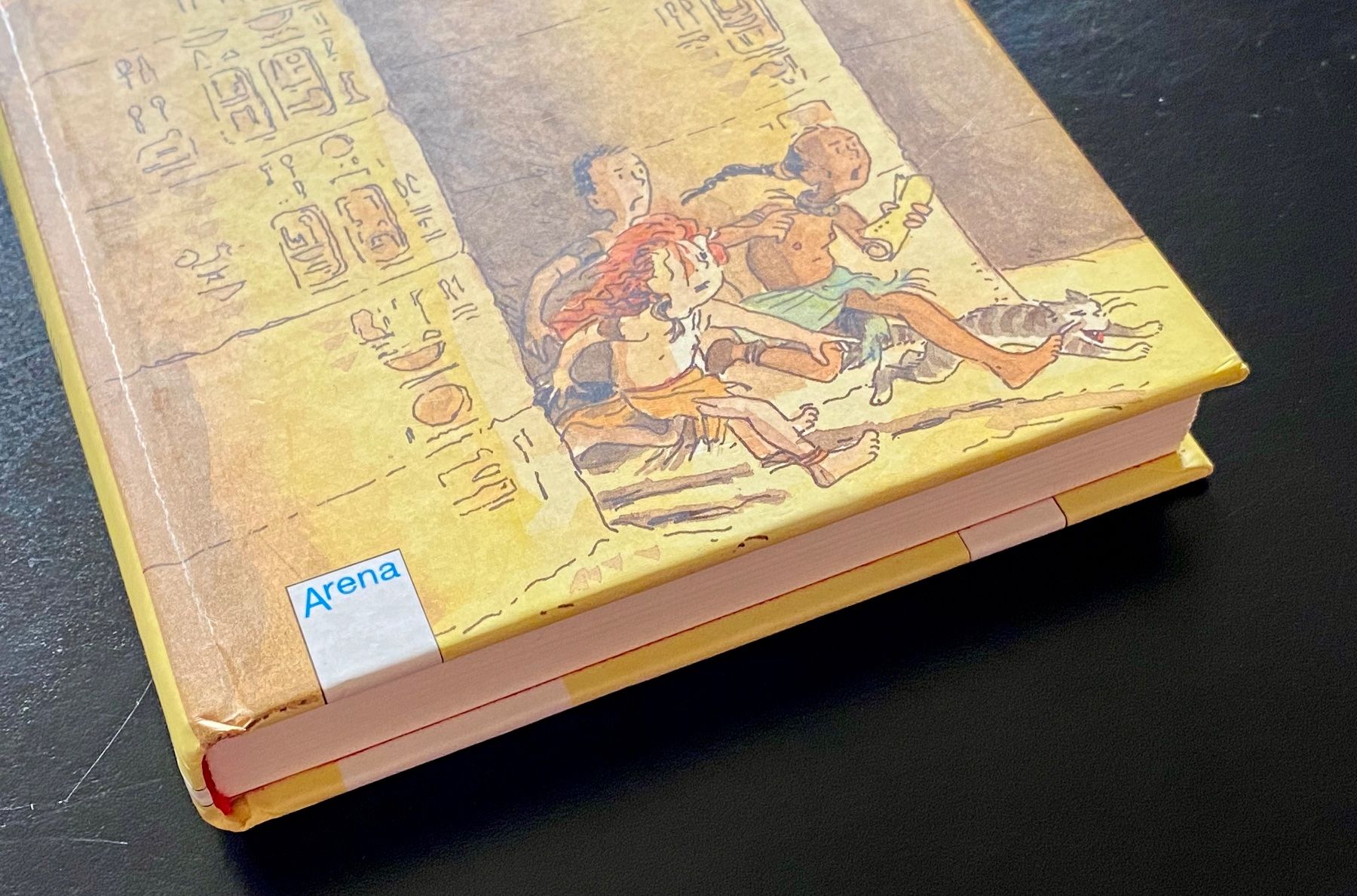 Libri: Das Geheimnis des Falkengottes – Usato da Nussbaumen AG venduto da schuba2000 2