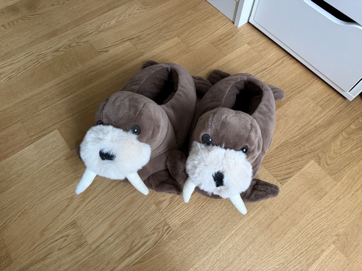 Chaussures hommes: Hausschuhe – D'occasion à Kloten par preloved9 1