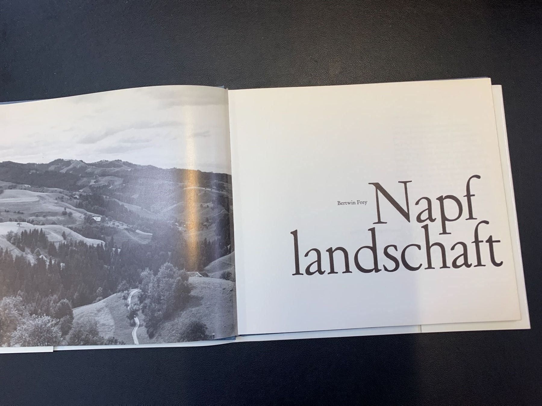 Libri: Napflandschaft – Usato da Frümsen venduto da Katzen0 1