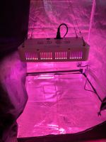 LED Homegrow set, LED 300W, inkl Zelt, Lüftung & AKF