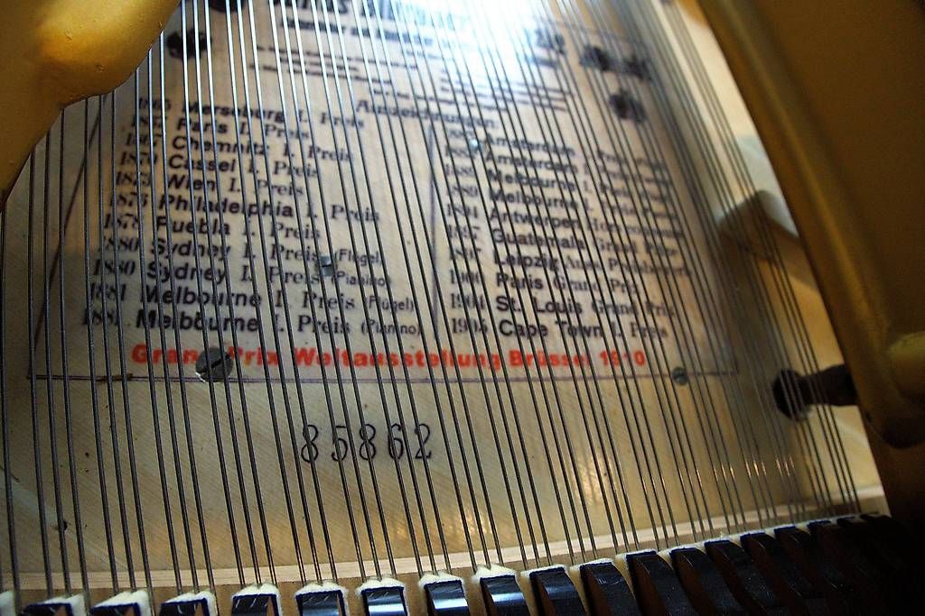 Blüthner Musikinstrumente: Flügel Blüthner 190cm Aliquot – Gebraucht aus Küttigen von PianoSarbach 2