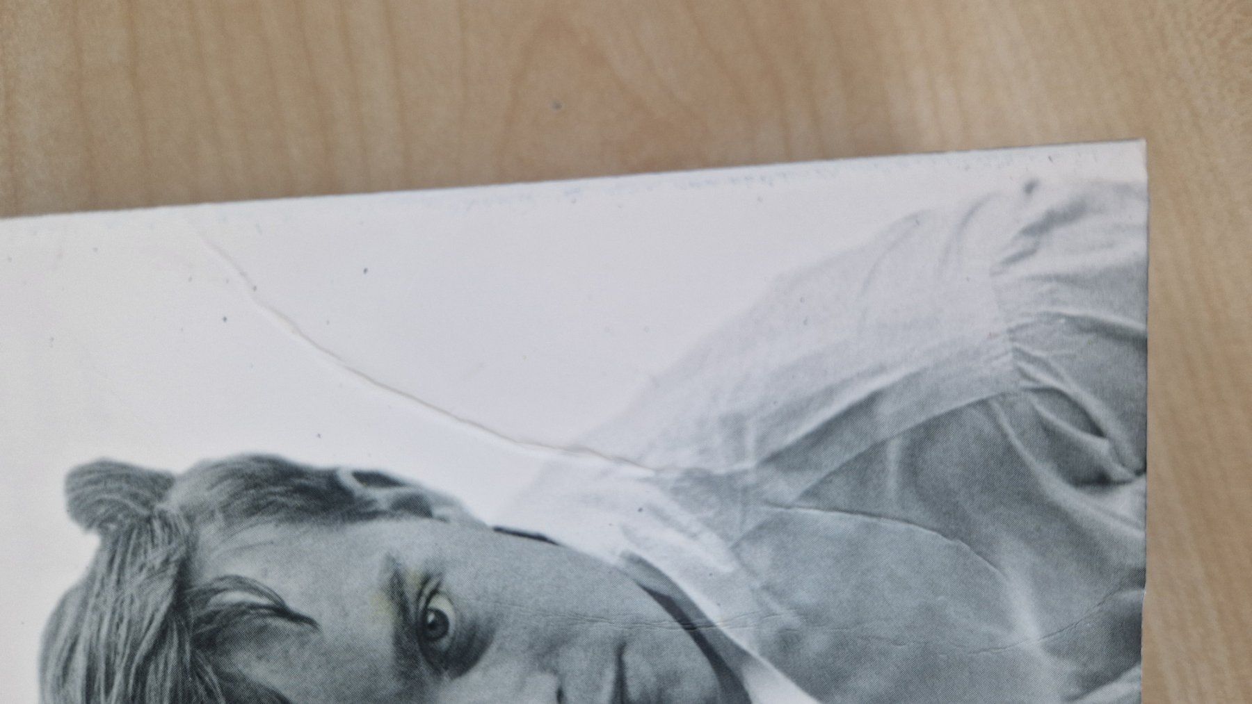 Libri: Baum der Nacht / Truman Capote – Usato da Malters venduto da page02 2