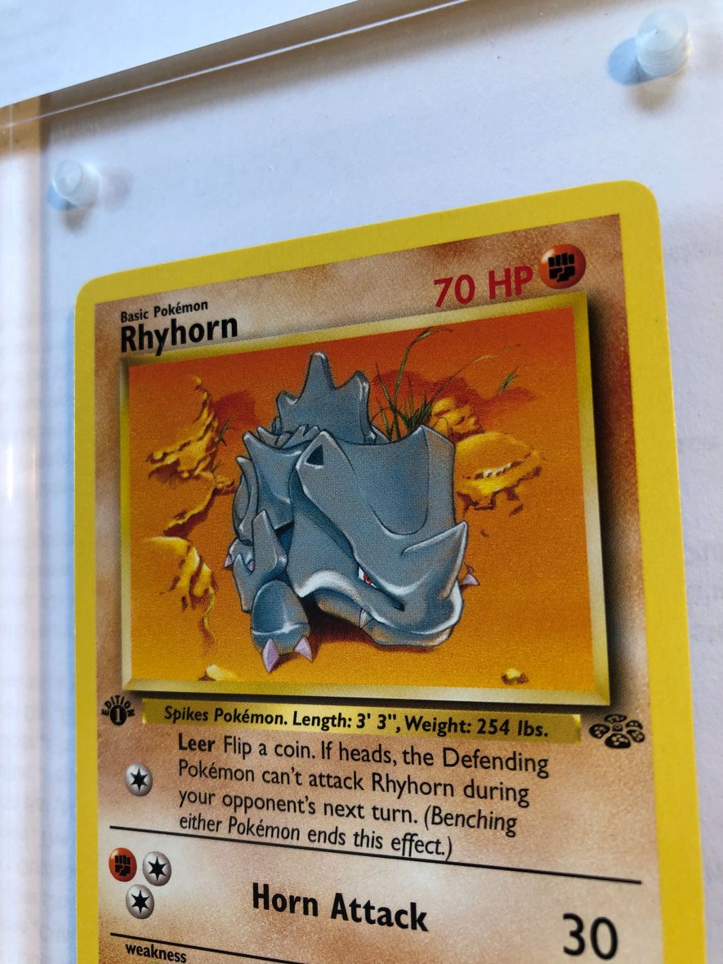 Carte collezionabili: Rhyhorn 1st Jungle - MINT - ab 1.- – Usato da Giubiasco venduto da dan_pr8b 3