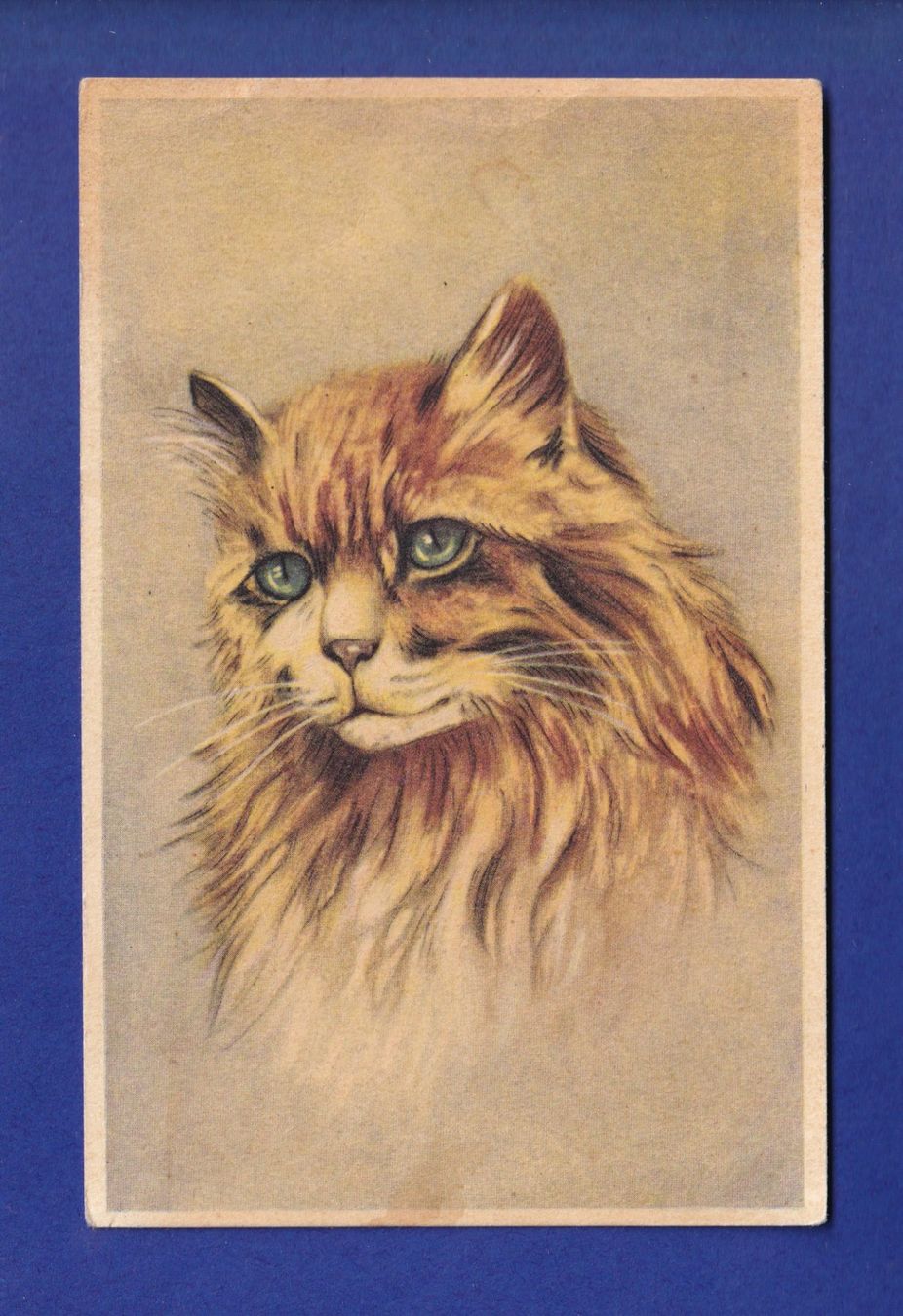 Cartoline postali: CHAT - Portrait – Usato da Pully venduto da nicecards-shop