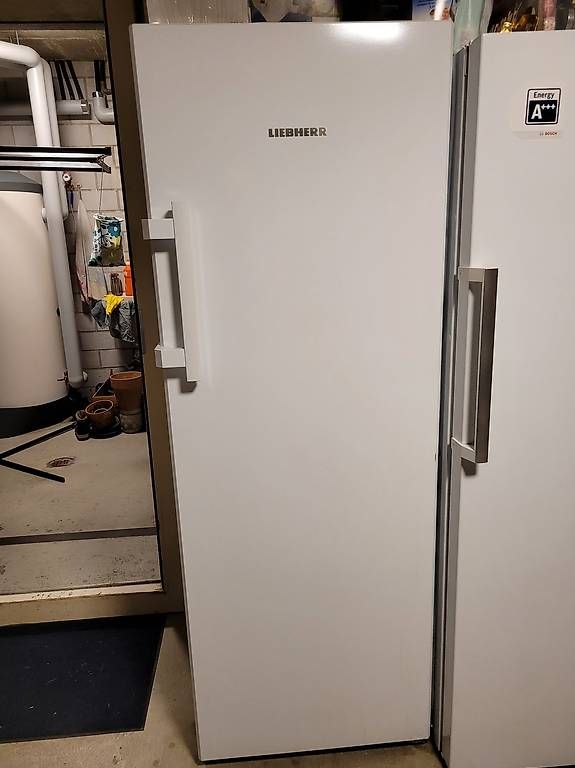 Frigoriferi: Kühlschrank Liebherr K3710 342l – Usato da Beinwil am See venduto da alpha4712