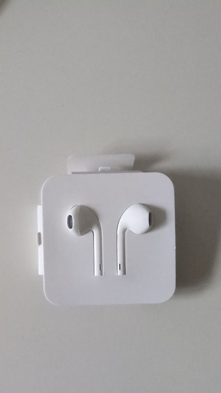 Apple Cuffie: Neue Earpods mit Lightning Anschluss – Nuovo (secondo la descrizione) da Wallisellen venduto da ali_x62p 1