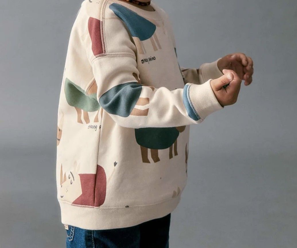 Maglioni & Felpe: 2 Kinder Pullover Grösse 86 von Alana & Sfera – Usato da Basel venduto da an_v7yj 1
