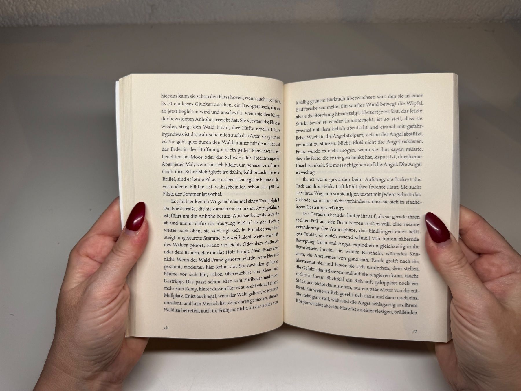 Libri: ROMAN: Doris Knecht, Wald – Usato da Grosswangen venduto da Deutsche_Romane 5