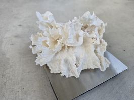 Deko Koralle, Kunstkoralle, Korallenriff, 366g, wie neu!