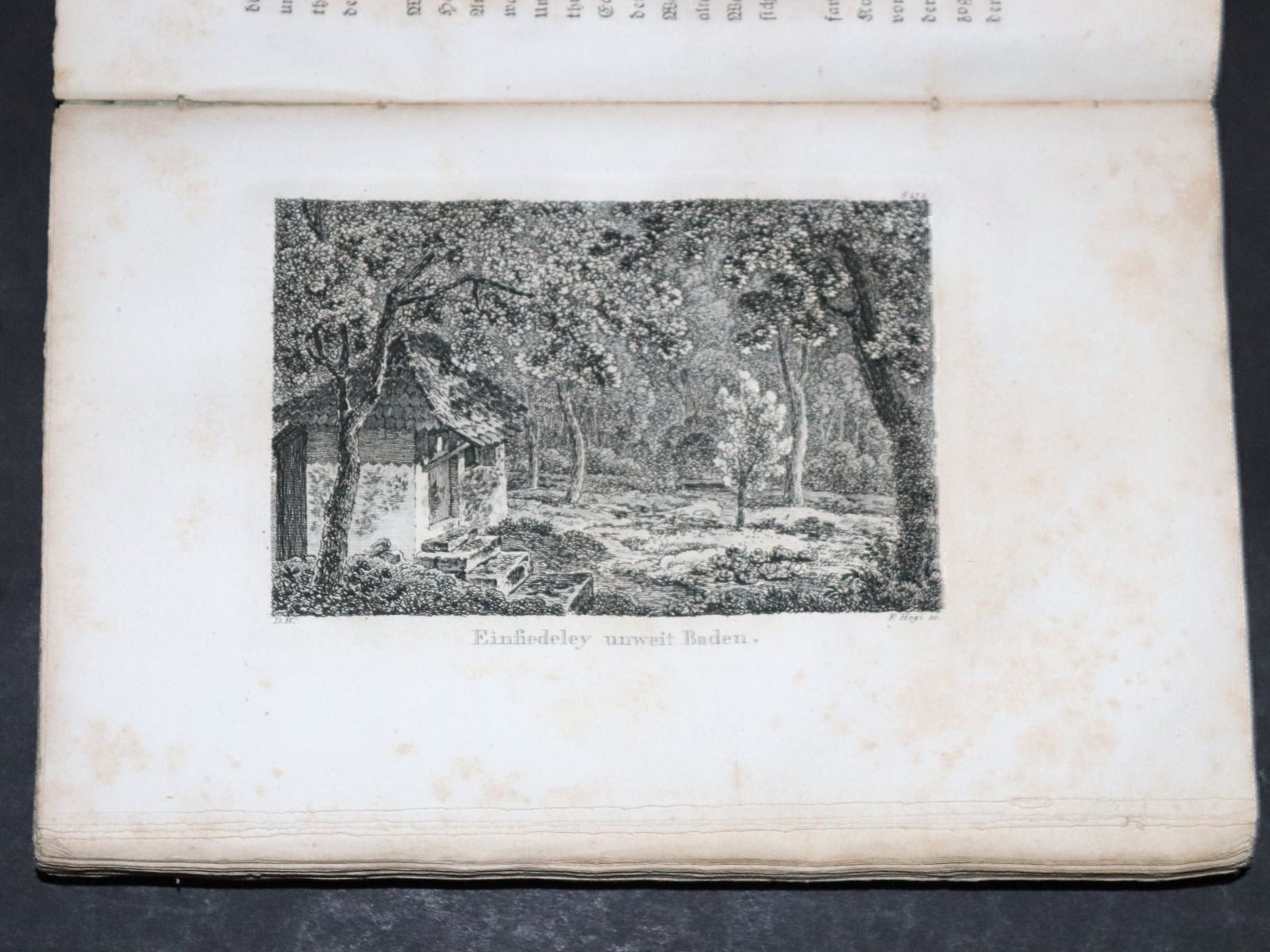 Bücher: HESS,DIE BADENFAHRT,ILLUSTRIERT,1818,EA – Gebraucht aus Guensberg von Herzaktion 9