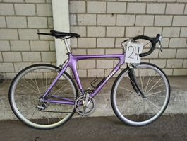 Velo 24
