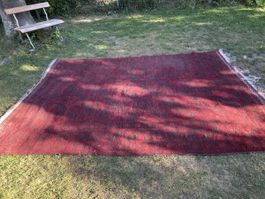 Grosser Afghan Orientteppich 322 × 234 cm – Wolle – traditio