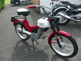 Moto Guzzi Dingo 50 Kleinmotorrad ab 15Jahren