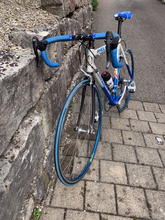 アニメショート PINARELLO ANGLIRU LAMA | www.birbapet.it