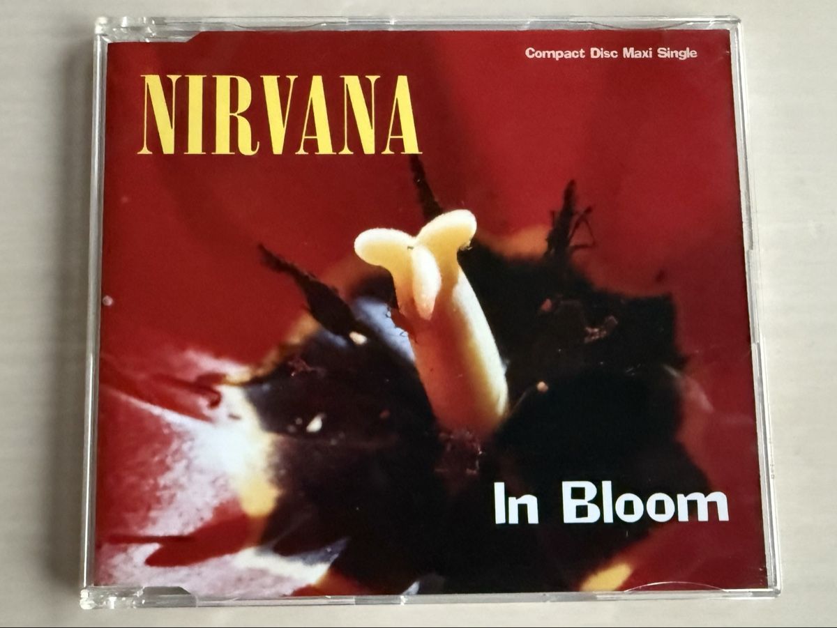 CD: Nirvana Singles Box Set CD 6 Singles  – Usato da Oberried Brienz venduto da Chyara 5