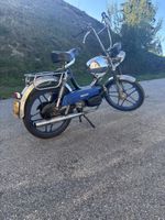 Hercules Sachs 503