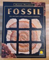 Fossil - Brettspiel