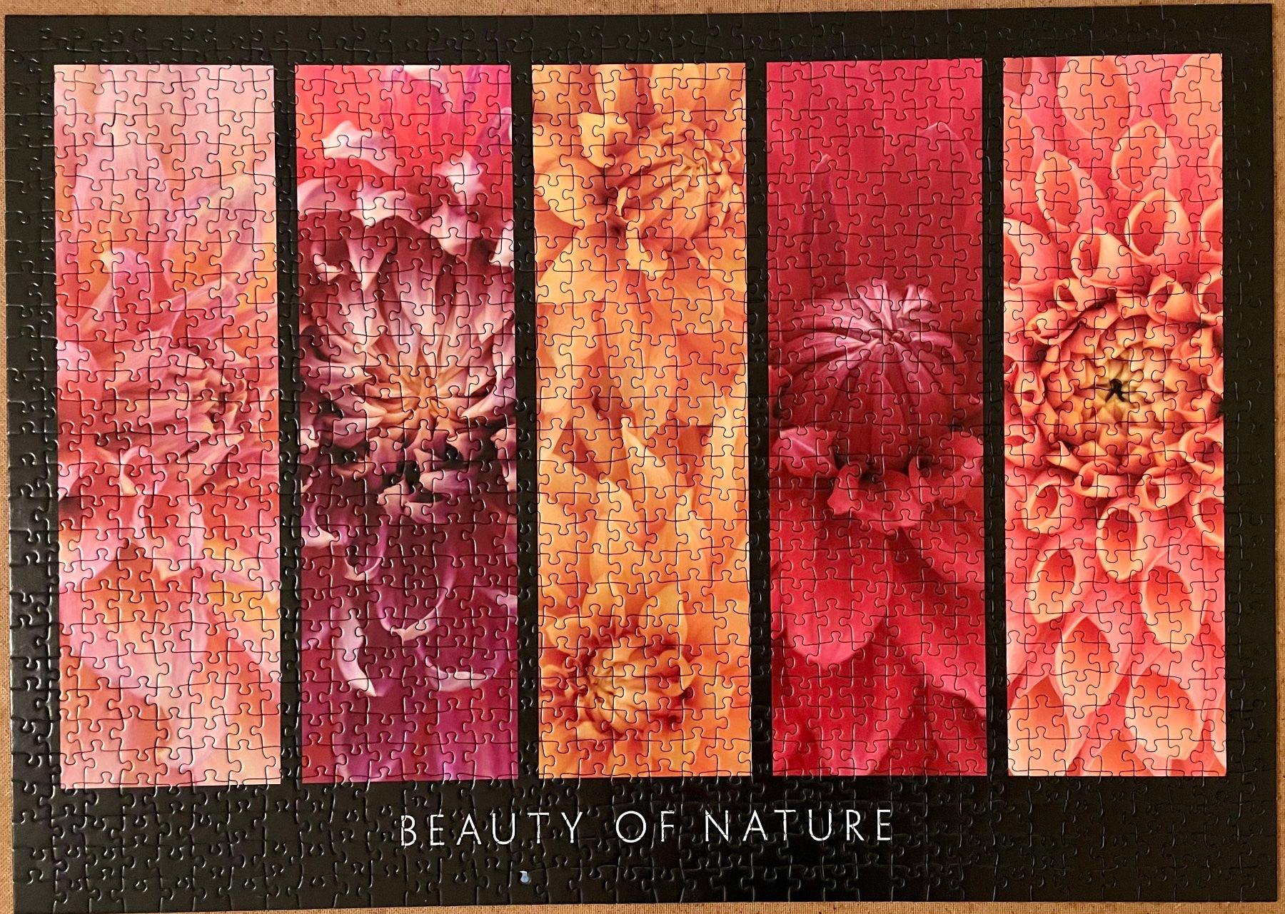 Ravensburger Puzzle: Puzzle 1000 Teile – Nuovo (secondo la descrizione) da Neerach venduto da Kapstadt08 1