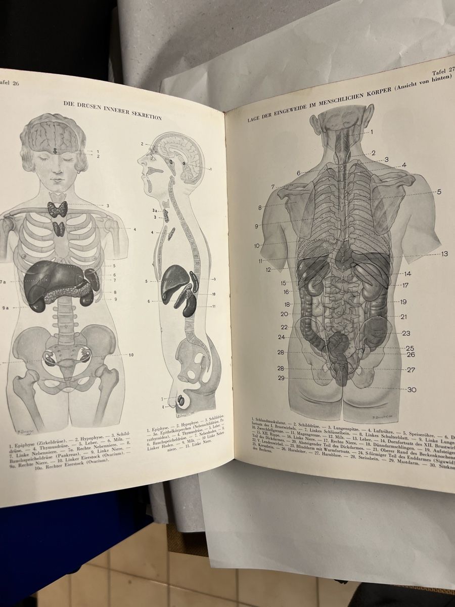 Libri: Bücher Gesundheit – Usato da Niederrohrdorf venduto da beniledergerber 6