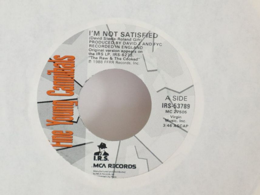 Dischi in vinile: Vinyl Single Fine Young Cannibals I'm Not Satisfied Jukebox – Usato da Eschenbach SG venduto da Astalavista 1