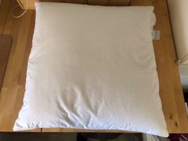Oreiller 65x65 100% coton Teflon anti-tache duvet oie canard