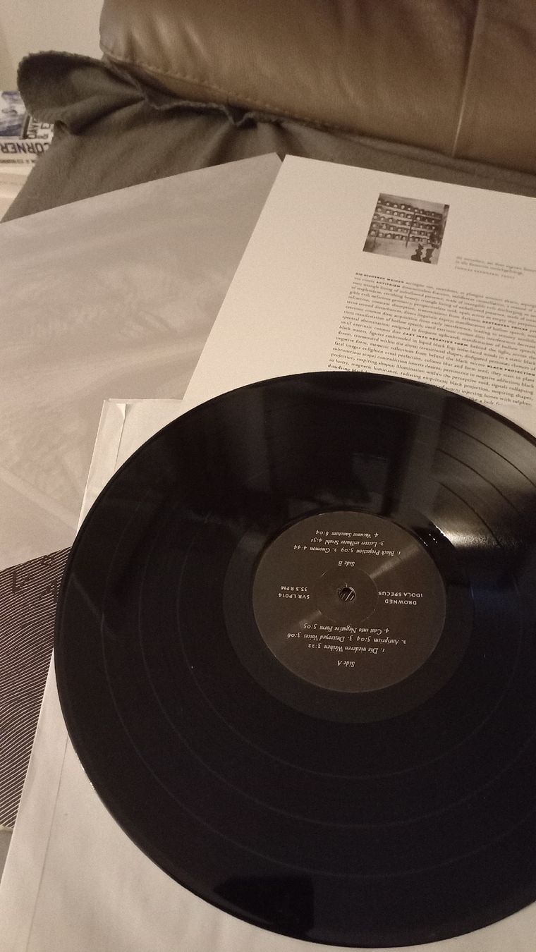 Dischi in vinile: Drowend-Idola...Vinyl LP DEATH METAL – Usato da Olten venduto da Donatello1984 2