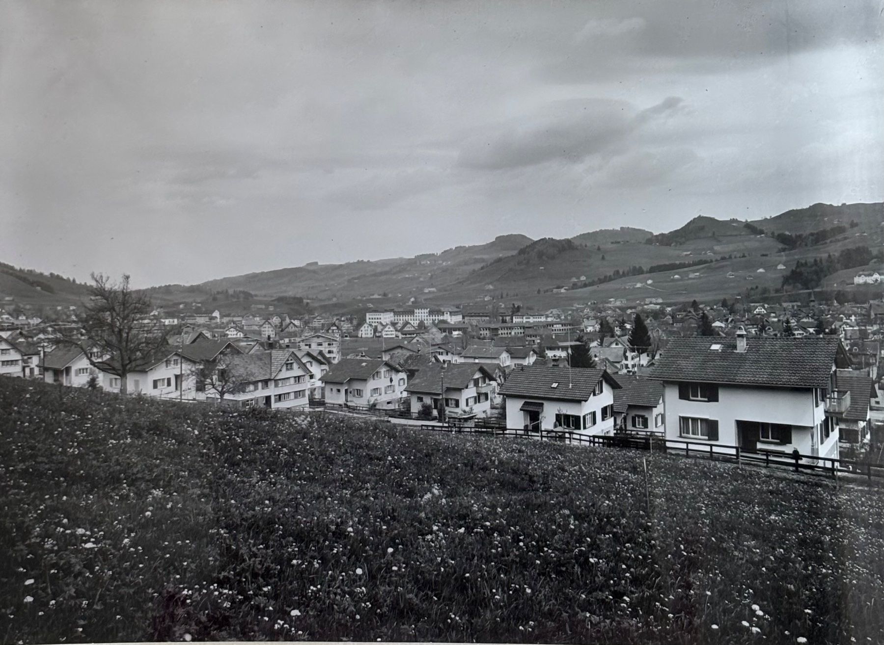 Cartes postales: Foto E. Grubenmann, Appenzell, 13 x 18 cm – D'occasion à Frauenfeld par Merk52