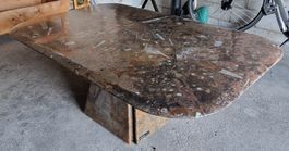 Ammoniten Clubtisch