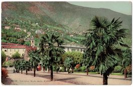 Locarno, Viale delle Palme, circolata 1915