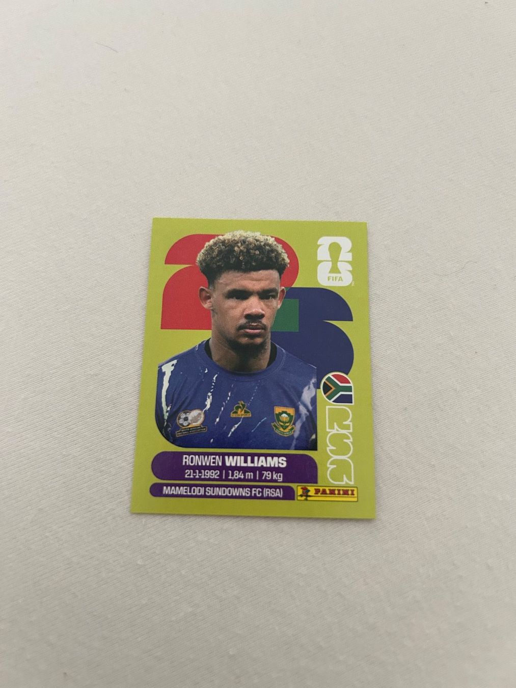 Panini Carte collezionabili: Panini RSA 2 – Usato da Steckborn venduto da DavidLM