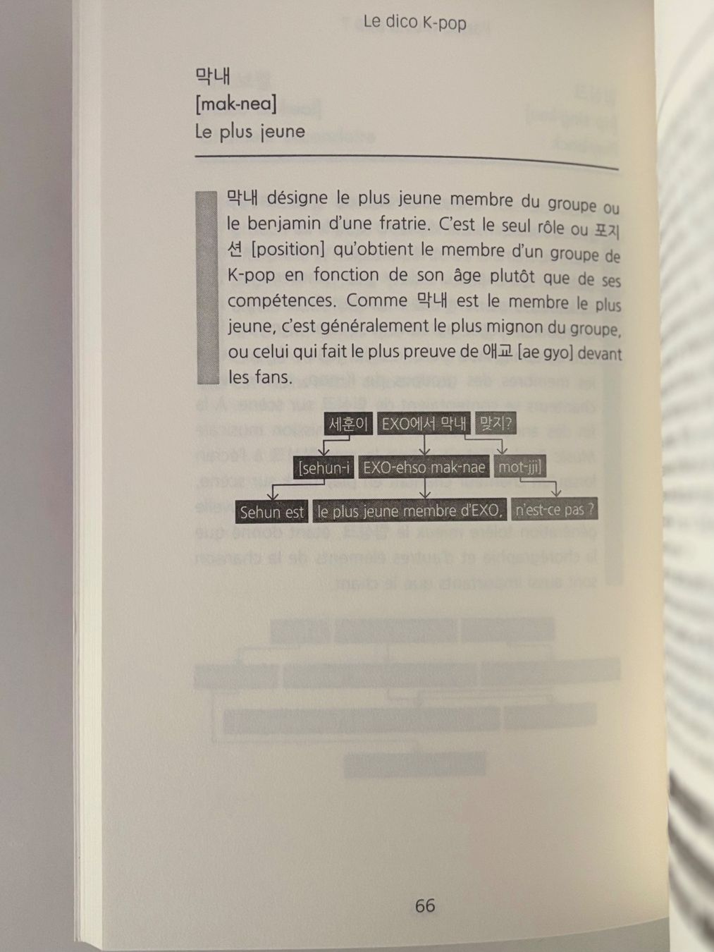 Libri: BTS livre le dico K-Pop – Nuovo (secondo la descrizione) da Nyon venduto da man_8pzr 2