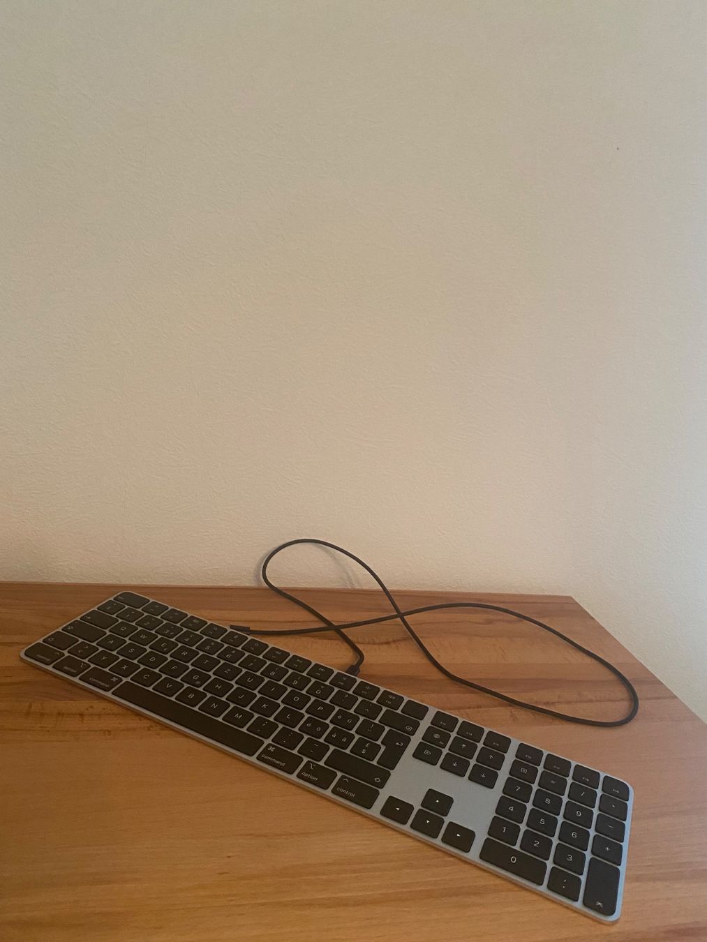 Apple Tastiere: Apple Magic Keyboard Tastatur – Usato da Beckenried venduto da and_b729 1