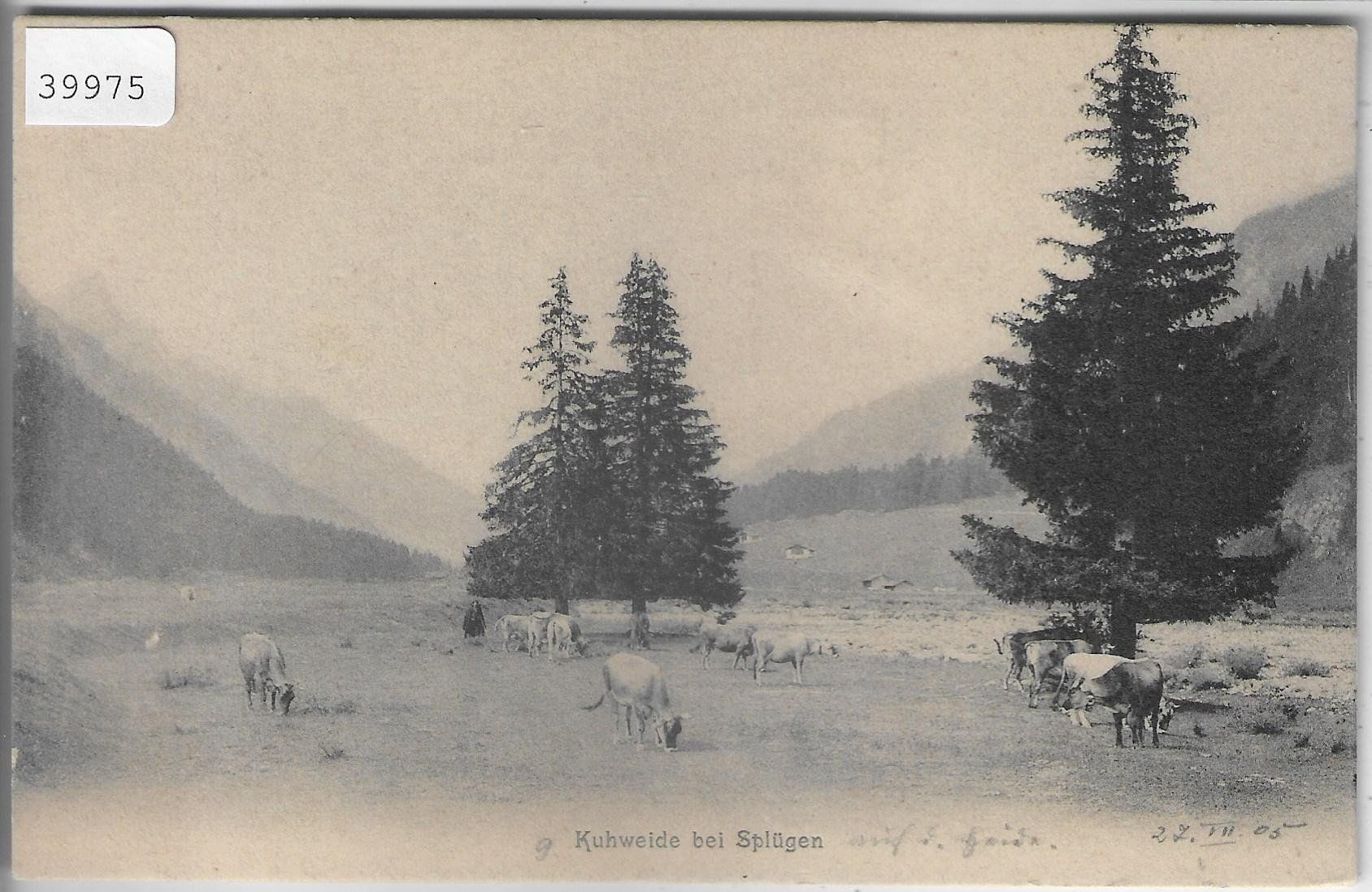 Cartes postales: Kuhweide bei Splügen – D'occasion à Ettingen par Kartenplanet