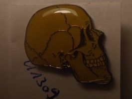 1 Cooler Totenkopf Pin (U1309)
