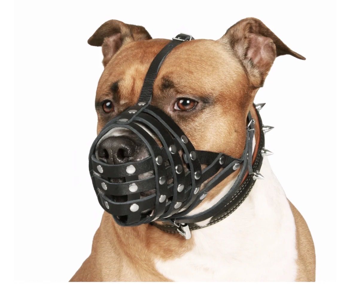 Guinzagli & Collari: Maulkorb für Hunde – Nuovo e nell'imballaggio originale da Schmitten FR venduto da MrsKingKerosin 2