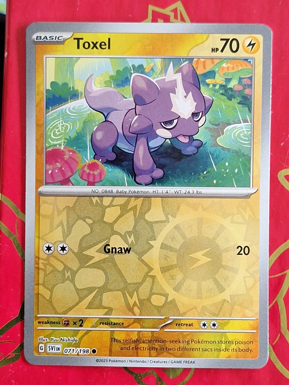 Pokémon Carte collezionabili: Toxel - Pokemon Reverse Holo Scarlet Violet – Usato da Altstätten SG venduto da GGsGameshop