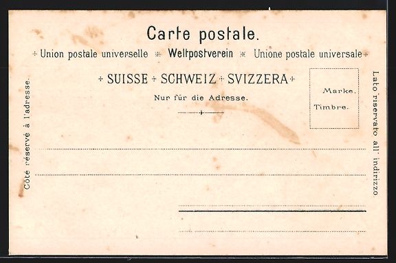 Cartes postales: Litho Solothurn, Totalansicht mit Alpenk – D'occasion à Berlin par bartko-reher 1