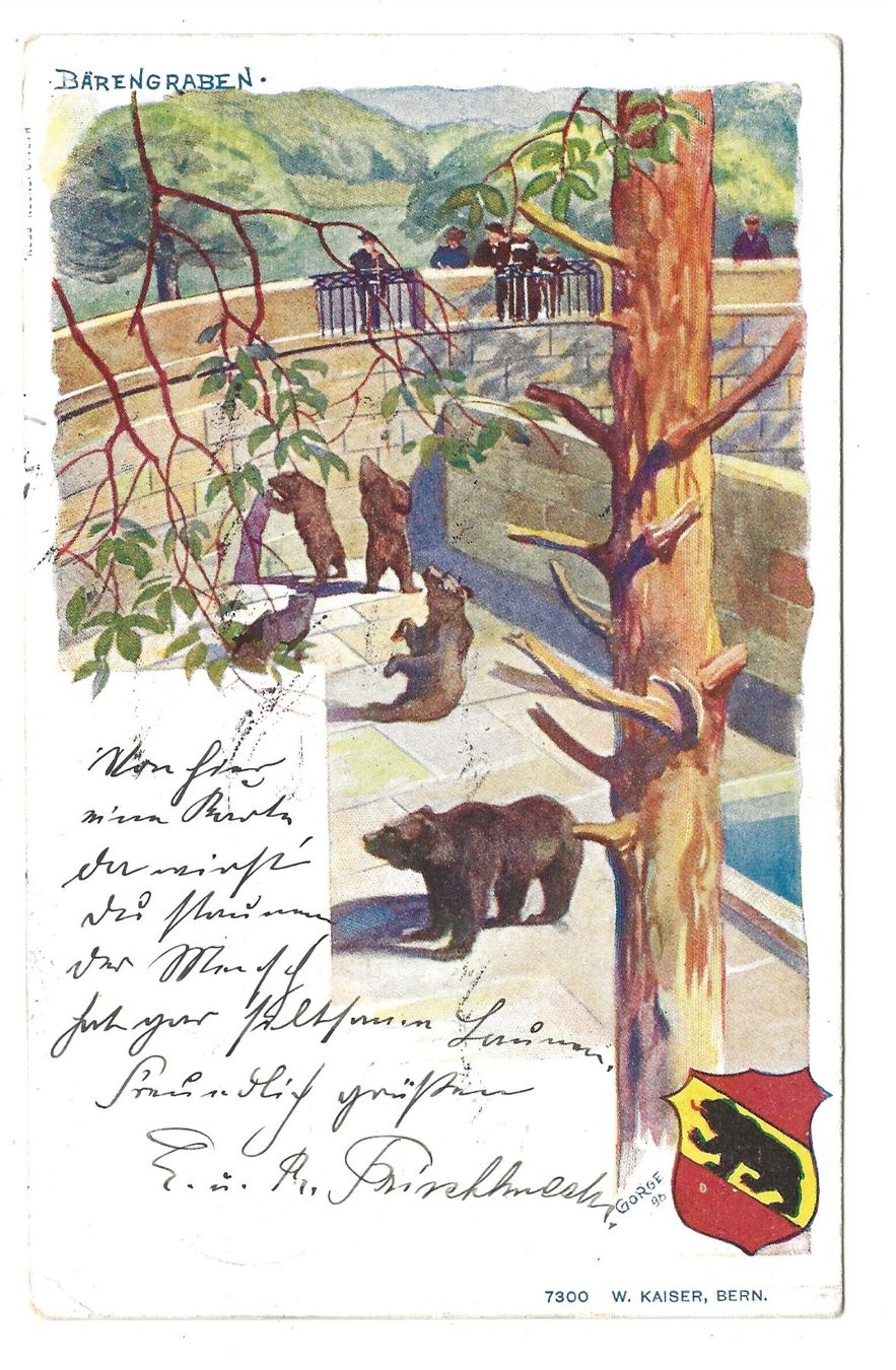 Ansichtskarten: Bern - Stadt - Bärengraben - 1899 – Gebraucht aus Engelburg von Cartophil