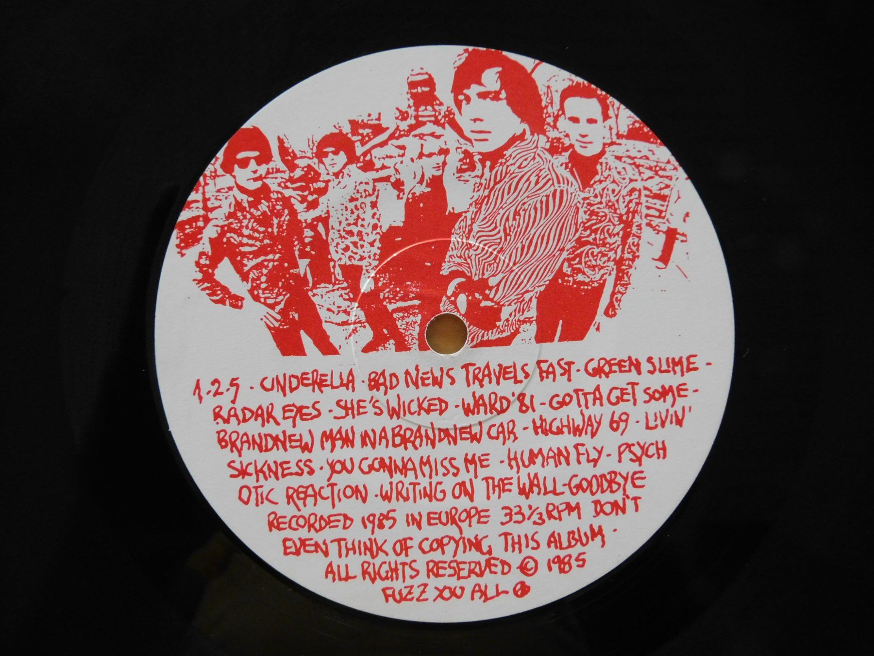 Dischi in vinile: Fuzztones - Lysergic Love – Usato da Emmenbrücke venduto da Dickens 4