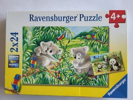 Ravensburger 2x24 Teile Puzzle (Koalas und Pandas)
